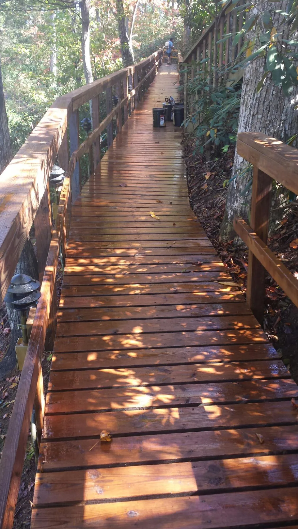 Freshly stained wood walkway winding through the woods in Littleton