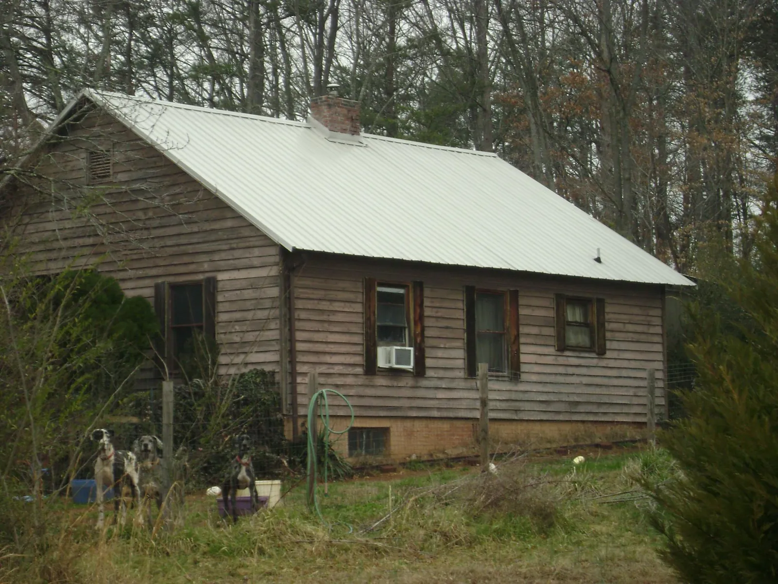 White metal roof on an old wood sided farmhouse, from a Asphalt Shingle Roof Repair job in Littleton